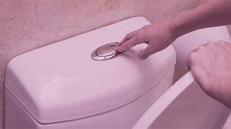 Image result for chrome bathroom flushing buttons