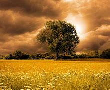 Image result for Free Downloadable Images without Copyright