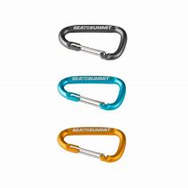 Image result for Sea to Summit Mini Carabiner