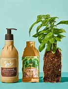 Image result for Environmentally Friendly Products
