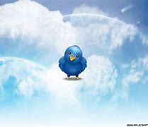 Image result for Twitter Desktop Wallpaper
