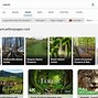 Bildergebnis für Bing Visual Search