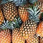 Image result for Real Pineapple