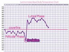 Basal Temperature Women Health Info Blog
