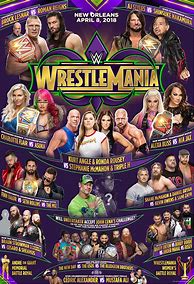 Image result for WWE Raw Wrestling Posters