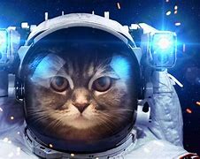 Image result for Funny Space Images