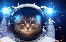 Image result for Funny Space Background