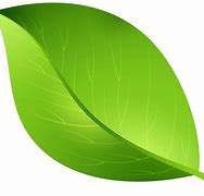 Image result for Green Leaf Emoji