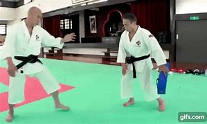 Image result for Best Karate Moves