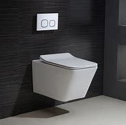 Image result for Modern Dual Flush Toilet