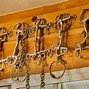 Image result for Bits for Horses