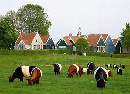 Image result for Netherlands Farm