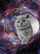 Image result for Galaxy Cat Animation