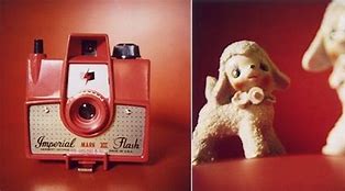 Image result for Cute Camera Co