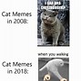 Image result for Desktop Wallpaper Cat Walking Meme