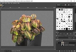 Image result for Cut Out Objects