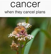 Image result for Oncology Memes
