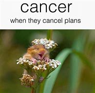 Image result for Beating Cancer Meme