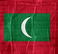 Image result for Maldives Flag