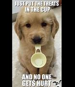 Image result for Cute Silly Funny Dog Memes