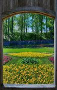 Image result for Garden through Window