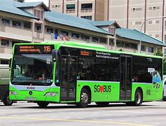 Image result for Public Transport Buses
