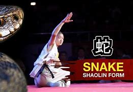Image result for Shaolin Kung Fu Snake Style Bassic