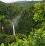Image result for tropical rainforest wallpapers 4k computer