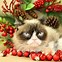 Image result for Grumpy Cat Valentine's Day