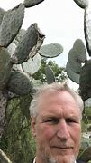 Image result for Prickly Pear Cactus