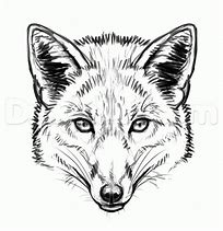Image result for Galaxy Fox Drawing