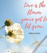 Image result for Quotes About Flowers and Love