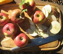 Image result for Apple Orchard Crafts Preschool