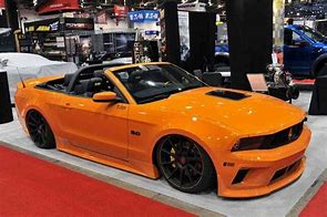 Image result for Beast mustangs