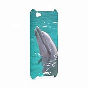 Image result for Cute Animal iPod Touch Cases