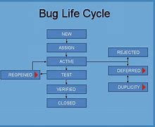Image result for Bug Life Cycle Diagram