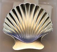 Image result for Clam Shell Dish