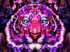 Image result for Trippy Tiger Art