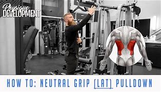 Image result for Neutral Grip Lat Pulldown Attachment