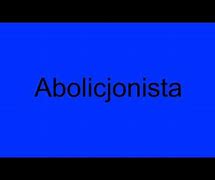 Image result for abolicjonista