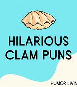 Image result for Bearded Clam Meme