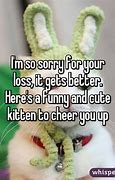 Image result for Meh Your Loss Meme