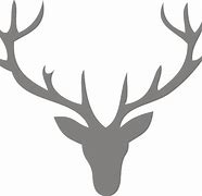 Image result for Deer Antlers Transparent Background