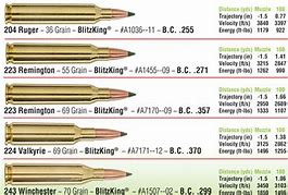 Image result for 223 Ammo Ballistics Chart