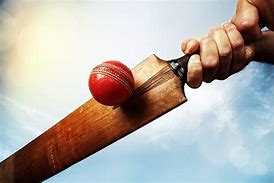 Image result for Cricket Aesthetic Ball and Bat