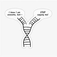 Image result for DNA Replication Meme