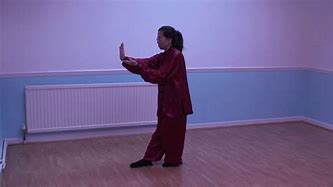 Image result for Wu Style Taijiquan