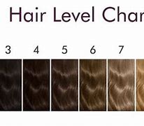 Image result for Hair Levels
