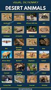 Image result for Mojave Desert Animals List