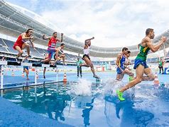 Image result for What Is a Steeplechase